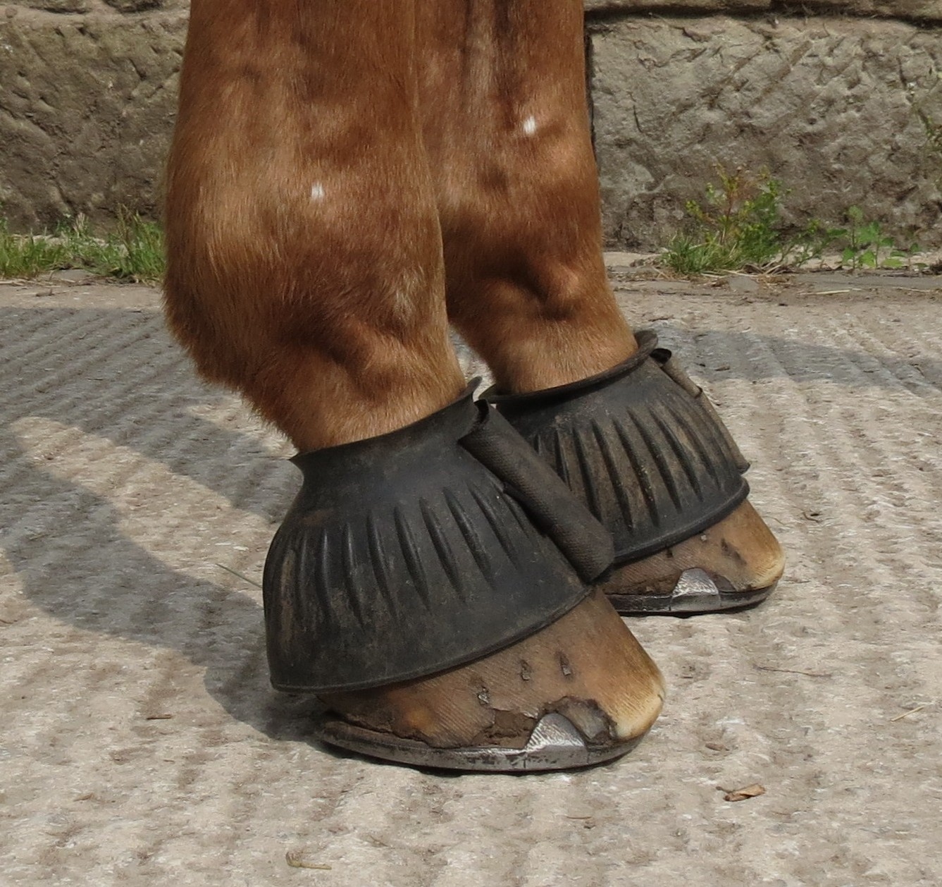 Sausage boot clearance horse